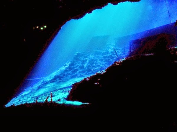 Những âm thanh đáng sợ như 'địa ngục' dưới khe vực Mariana ảnh 1