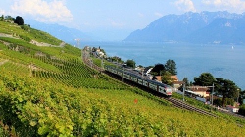 Đã mắt ngắm đồi nho được công nhận là di sản văn hóa thế giới ảnh 1