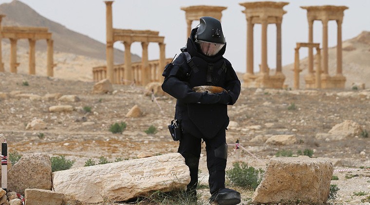 Công binh Nga tháo gỡ 3.000 quả mìn ở Palmyra trong 12 ngày ảnh 1