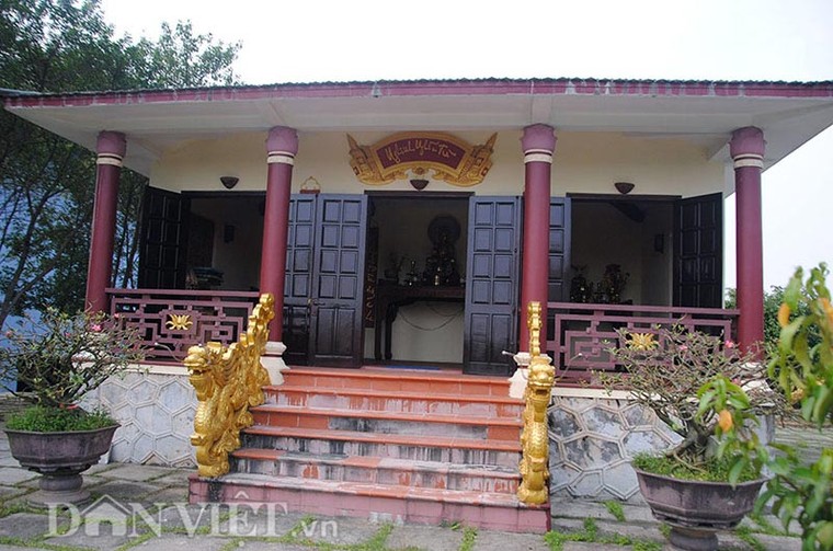 Cây cóc hồng độc nhất vô nhị tiền tỷ không mua được ảnh 6