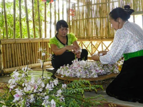 Tháng 4 đến Sốp Cộp mà ăn …hoa ban ảnh 3