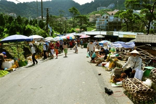 Kinh nghiệm hữu ích cho chuyến du lịch ngắn Tam Đảo ảnh 6