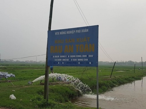 Sự thật khủng khiếp ở vựa rau an toàn cung ứng chợ đầu mối Thủ đô ảnh 2