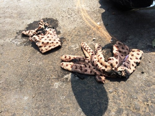 Gã thợ xăm tạt axit nữ sinh: 'Tôi bị lừa, không biết đó là axit' ảnh 1