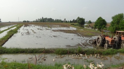 Nước về ĐBSCL không phải do Trung Quốc xả đập ảnh 4