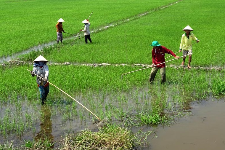 Nước về ĐBSCL không phải do Trung Quốc xả đập ảnh 6