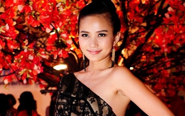 Phan Như Thảo tố kẻ dùng người giả danh công an hại vợ chồng cô ảnh 1