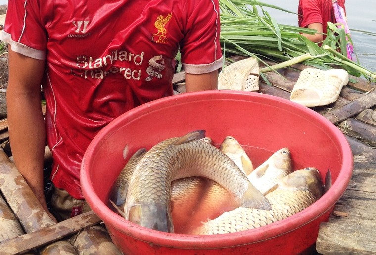 Vụ nước sông đổi màu, cá chết: "Thủ phạm" nhận lỗi ảnh 3