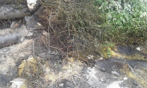 Hà Nội: Hỏa hoạn tại công ty Điện lực, khói đen bao trùm ảnh 9