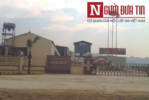 Sẽ khởi tố hình sự vụ cá chết hàng loạt ở Thanh Hóa ảnh 1