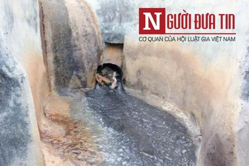 Sẽ khởi tố hình sự vụ cá chết hàng loạt ở Thanh Hóa ảnh 3