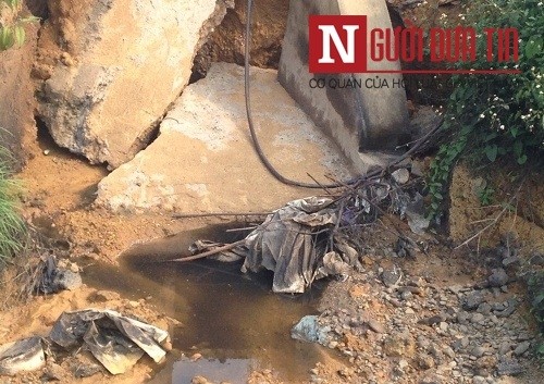 Sẽ khởi tố hình sự vụ cá chết hàng loạt ở Thanh Hóa ảnh 4