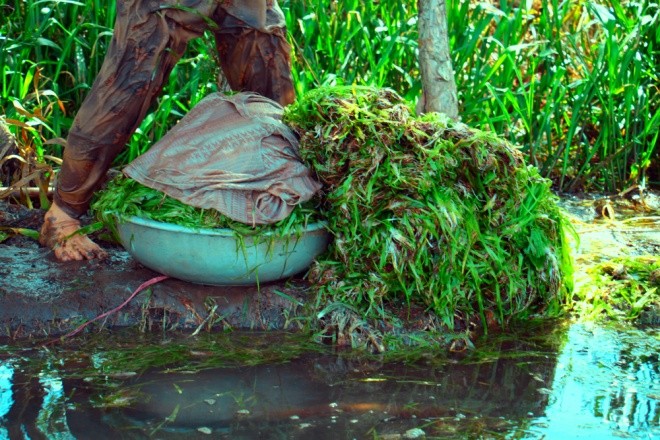 Hẹ nước - đặc sản vùng Đồng Tháp Mười ảnh 6