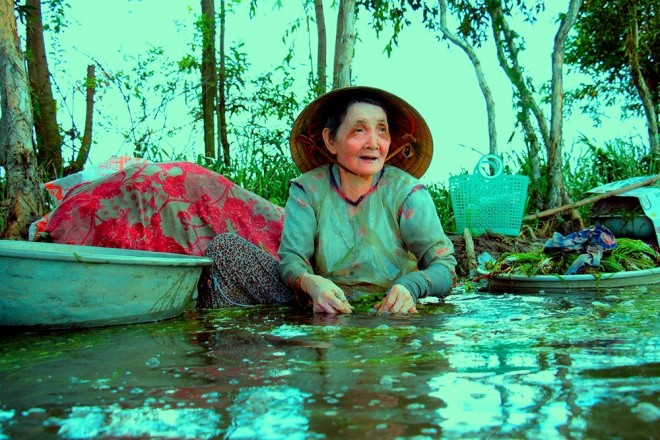 Hẹ nước - đặc sản vùng Đồng Tháp Mười ảnh 8