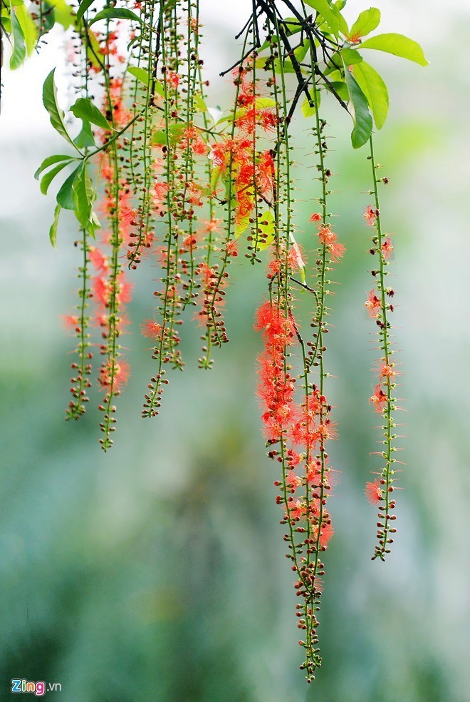 Những điểm đến tuyệt đẹp trong tháng 9 ảnh 3