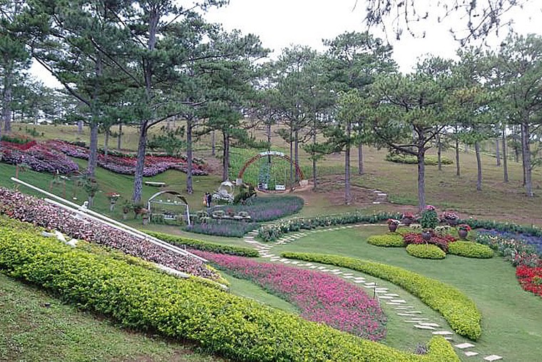 Báo Thái Lan ấn tượng Đà Lạt từ cái nhìn đầu tiên ảnh 1