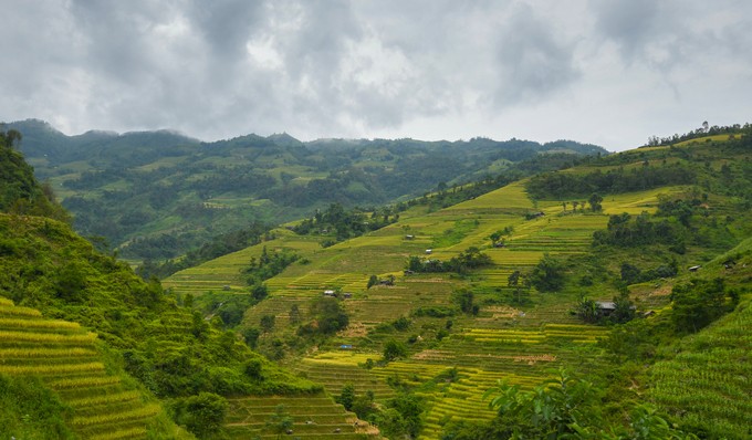 Ruộng bậc thang đẹp bậc nhất Việt Nam ở Hoàng Su Phì ảnh 6