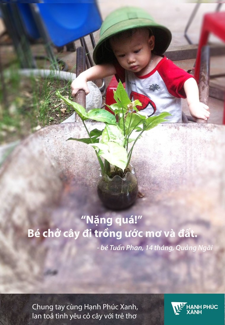 'Ai trồng cây người đó có hạnh phúc' ảnh 2
