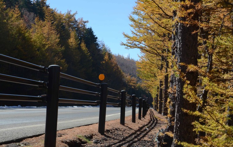 'Mãn nhãn' với núi Phú Sĩ mùa lá vàng ảnh 2