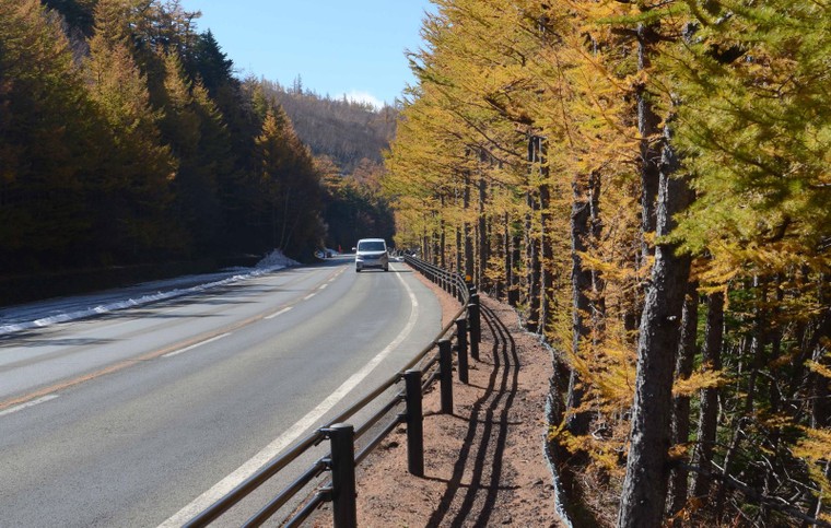 'Mãn nhãn' với núi Phú Sĩ mùa lá vàng ảnh 4