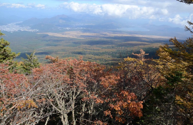 'Mãn nhãn' với núi Phú Sĩ mùa lá vàng ảnh 7