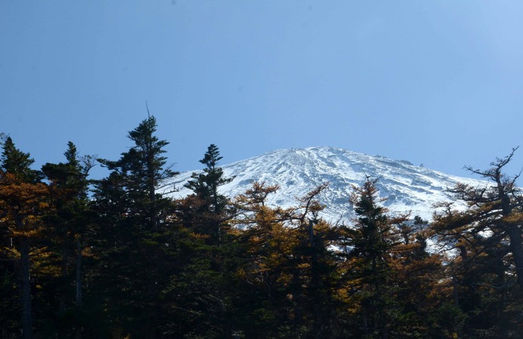 'Mãn nhãn' với núi Phú Sĩ mùa lá vàng ảnh 8