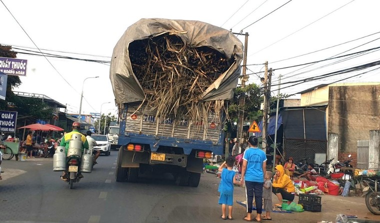Đồng Nai: Xe đầu kéo ôm cua, rơ-moóc chở mía văng xuống đường ảnh 1