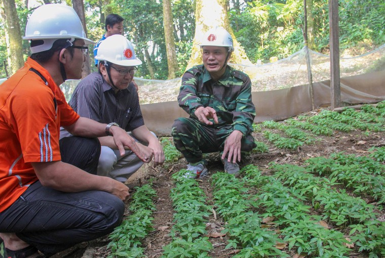 Quảng Nam hướng đến phát triển bền vững gần 700.000ha rừng từ đề án kinh doanh tín chỉ carbon rừng ảnh 7