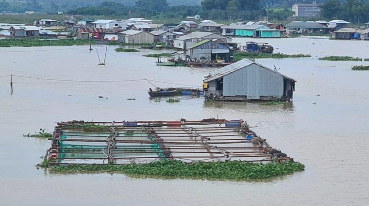 Đồng Nai: Thuỷ điện xả lũ, gần 1.000 tấn cá bè chết trắng gây thiệt hại hàng tỷ đồng ảnh 3