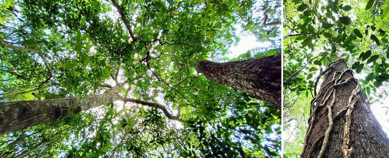 Những điểm đến du lịch Hồ Tràm dịp Lễ ảnh 1