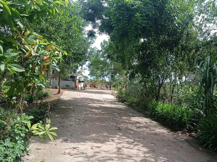 Bài 1: Cận cảnh Phú Quốc: Nước mắt người đi khai hoang ảnh 1