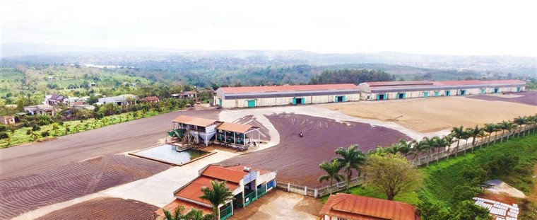 CADA đánh dấu trăm năm thành lập với tuyệt tác cà phê đạt chuẩn Fine Robusta ảnh 1