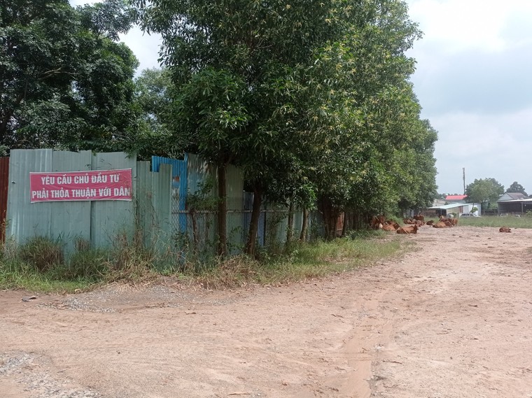 Dự án Cường Thuận CTI Residence: Bài 2: Nhà mặt tiền nhưng bồi thường rẻ mạt ảnh 1