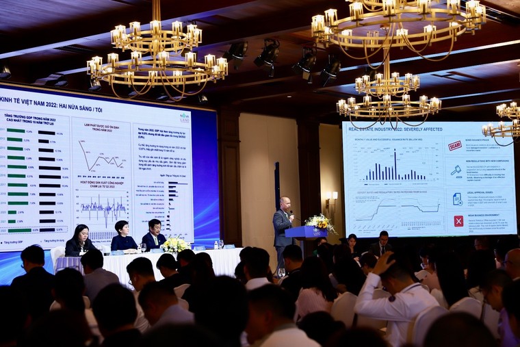 Hai mục tiêu trọng tâm được đề ra từ Đại hội đồng cổ đông 2023 của Novaland ảnh 1