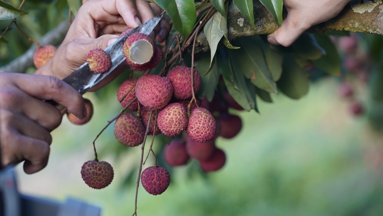 Grab "giúp sức" đưa công nghệ mở lối cho những giá trị gia đình được tiếp nối ảnh 4