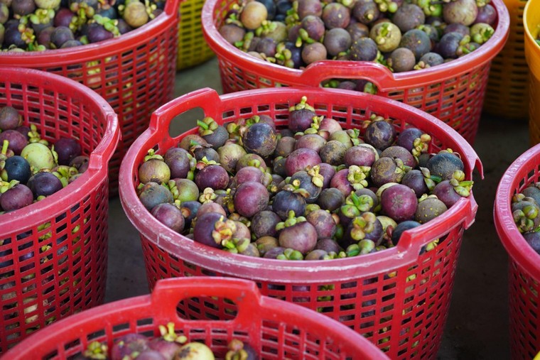 Grab "giúp sức" đưa công nghệ mở lối cho những giá trị gia đình được tiếp nối ảnh 1