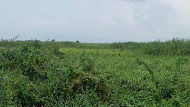 Phía sau Khu Công nghệ cao TP.HCM – Bài 2: Hàng loạt sai phạm ảnh 4