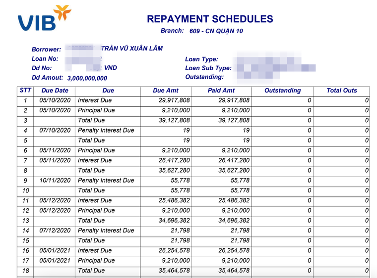 VIB bị tố làm giả hồ sơ vay? ảnh 2