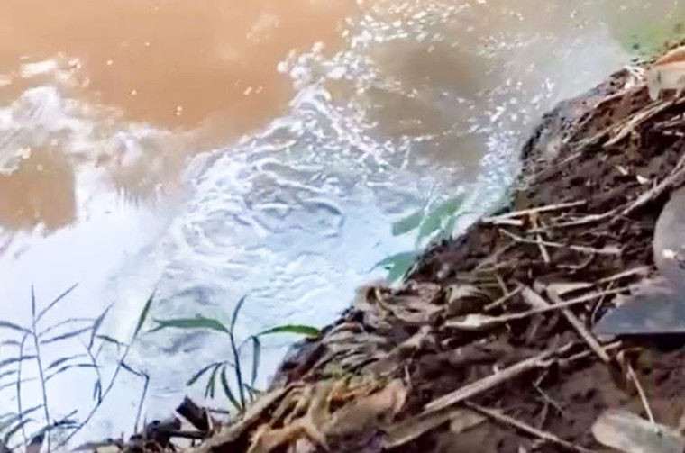 Đồng Nai: Người dân tiếp tục phát hiện trại heo xả thải ra môi trường ảnh 1