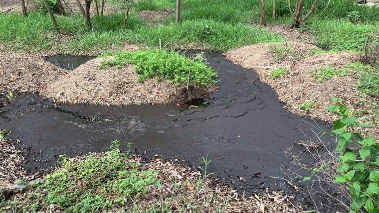 Bình Thuận: Trang trại heo Làng Việt Nam xả thải ra môi trường ảnh 6