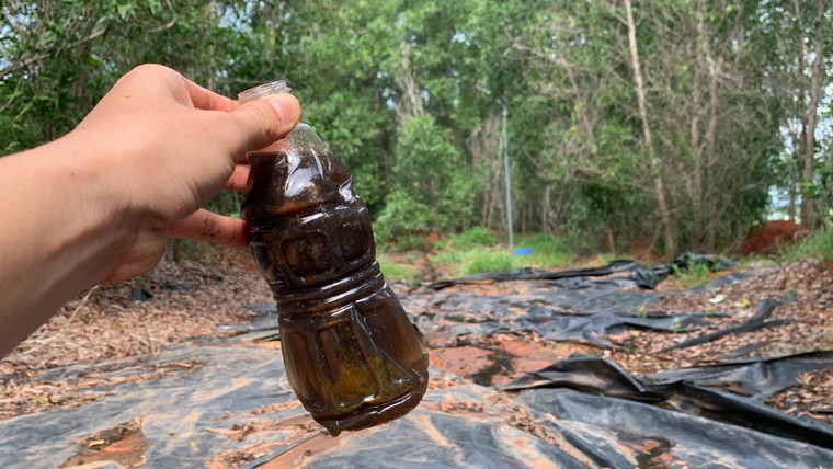 Bình Thuận: Trang trại heo Làng Việt Nam xả thải ra môi trường ảnh 8