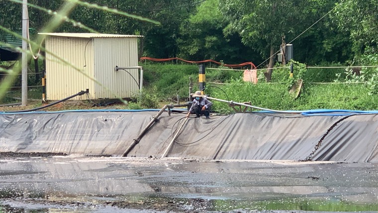 Bình Thuận: Trang trại heo Làng Việt Nam xả thải ra môi trường ảnh 4