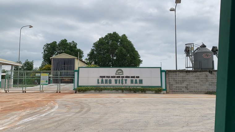 Bình Thuận: Trang trại heo Làng Việt Nam xả thải ra môi trường ảnh 1