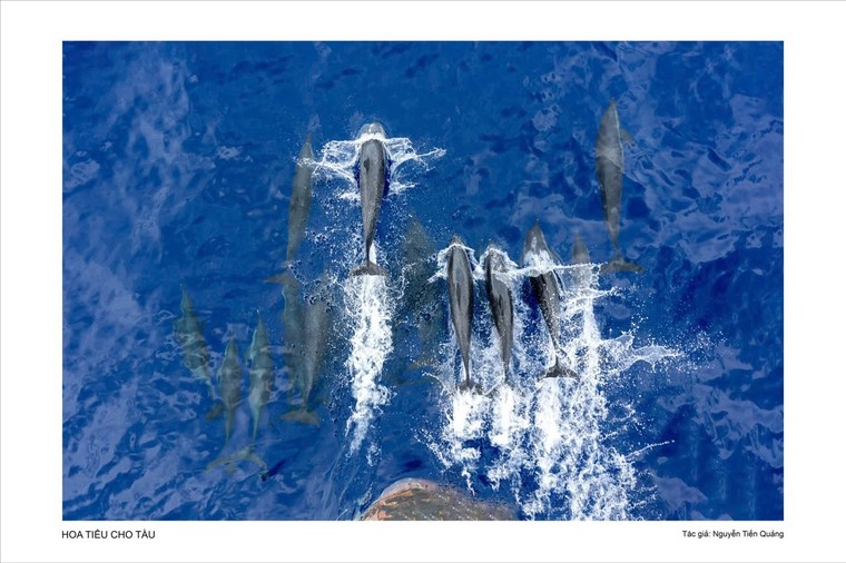 Nghẹn ngào và biết ơn nơi biển trời Trường Sa! ảnh 2