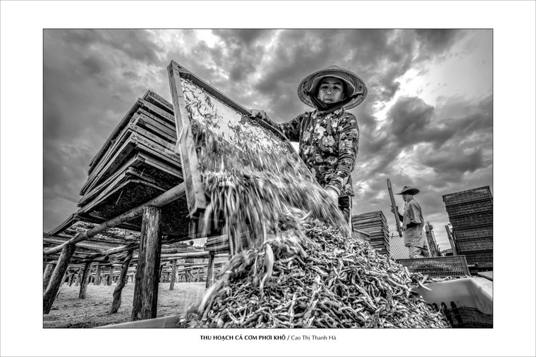 CLB Nhiếp ảnh nữ Hải Âu triển lãm “Nghề thủ công truyền thống” ảnh 9