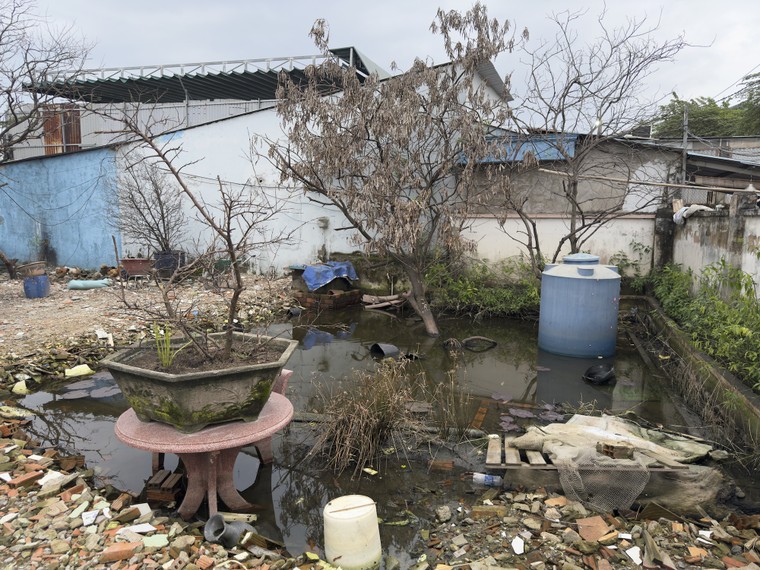 "Xóm nổi" giữa thành phố! ảnh 1