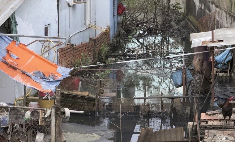 "Xóm nổi" giữa thành phố! ảnh 2