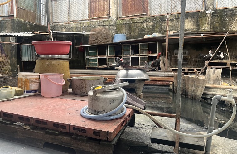 "Xóm nổi" giữa thành phố! ảnh 3