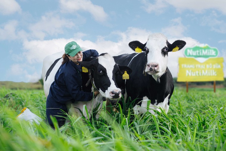 Trang trại Bò sữa NutiMilk – Nhân tố góp phần thúc đẩy ngành nông nghiệp Gia Lai ảnh 1