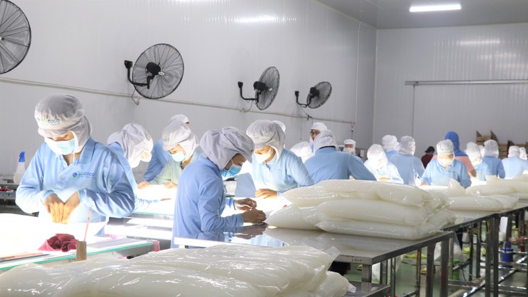 Vinacoco nhận "cú đúp" Giải thưởng: Chất lượng Quốc gia và Sao Vàng Đất Việt ảnh 2